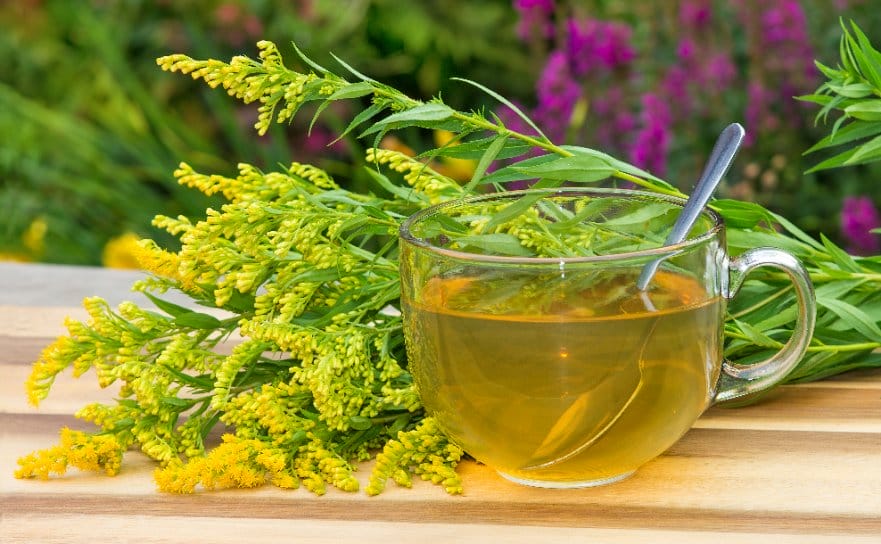 3 recettes d'infusions qui boosteront votre syst�me immunitaire