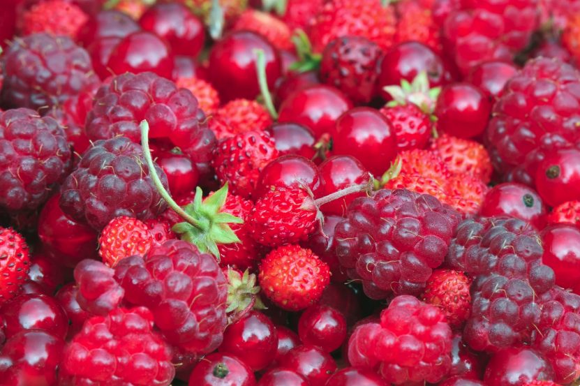 5 conseils pour incorporer plus de fruits et l�gumes dans vos repas