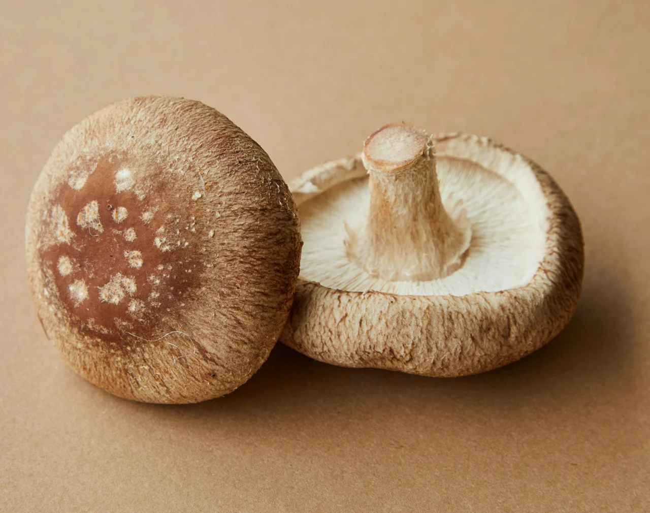 Comment pr�parer une farce aux champignons et aux herbes pour un No�l gourmand et rustique