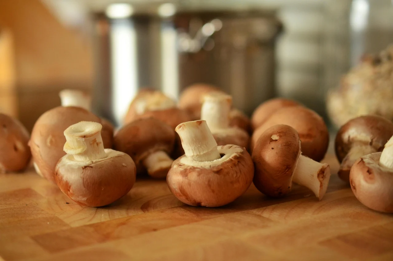 Comment réussir sa farce aux champignons : astuces et conseils